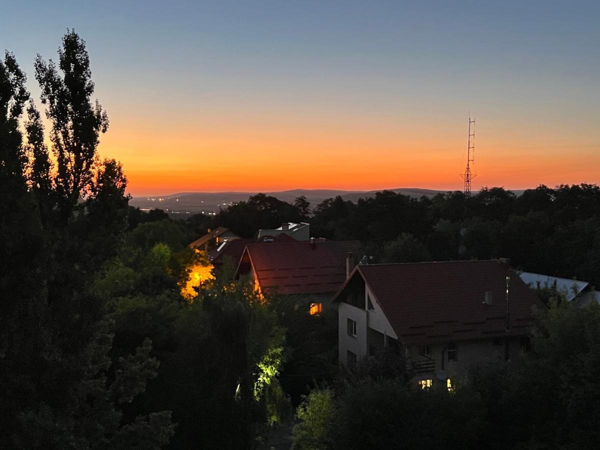Apartament Altheda Living Zamca Suczawa Zewnętrze zdjęcie